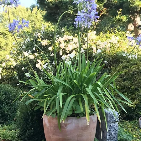 Little Merbeck Apartment Wegberg