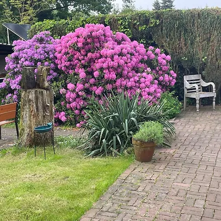 Apartment Little Merbeck *