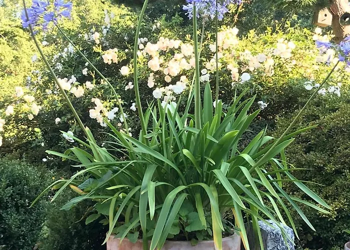 Little Merbeck Appartement Wegberg